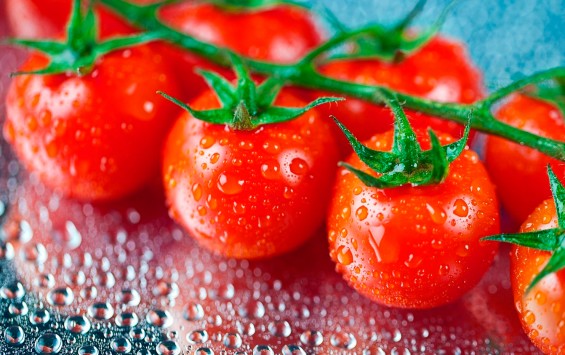 Cherry Tomatoes